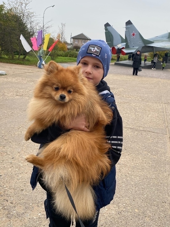 В Тверской области прошла выставка собак