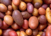 Татьяна Губина, руководитель аппарата Картофельного союза России, поговорила с нами о ценах на картошку