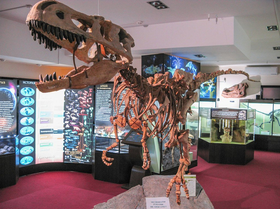 Вятский палеонтологический музей получил грант от фонда Потанина