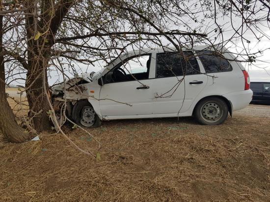 Угнанный в районе Калмыкии автомобиль врезался в дерево
