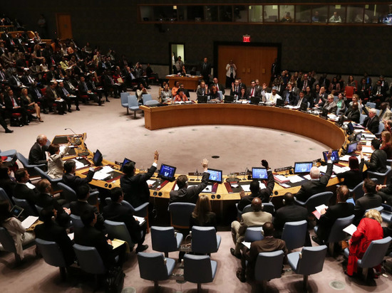 Западные страны отказались выслушать в Совбезе ООН экс-руководителя ОЗХО