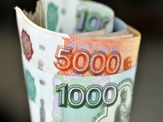 Более 4 млн граждан РФ столкнулись с сокращением зарплаты из-за пандемии