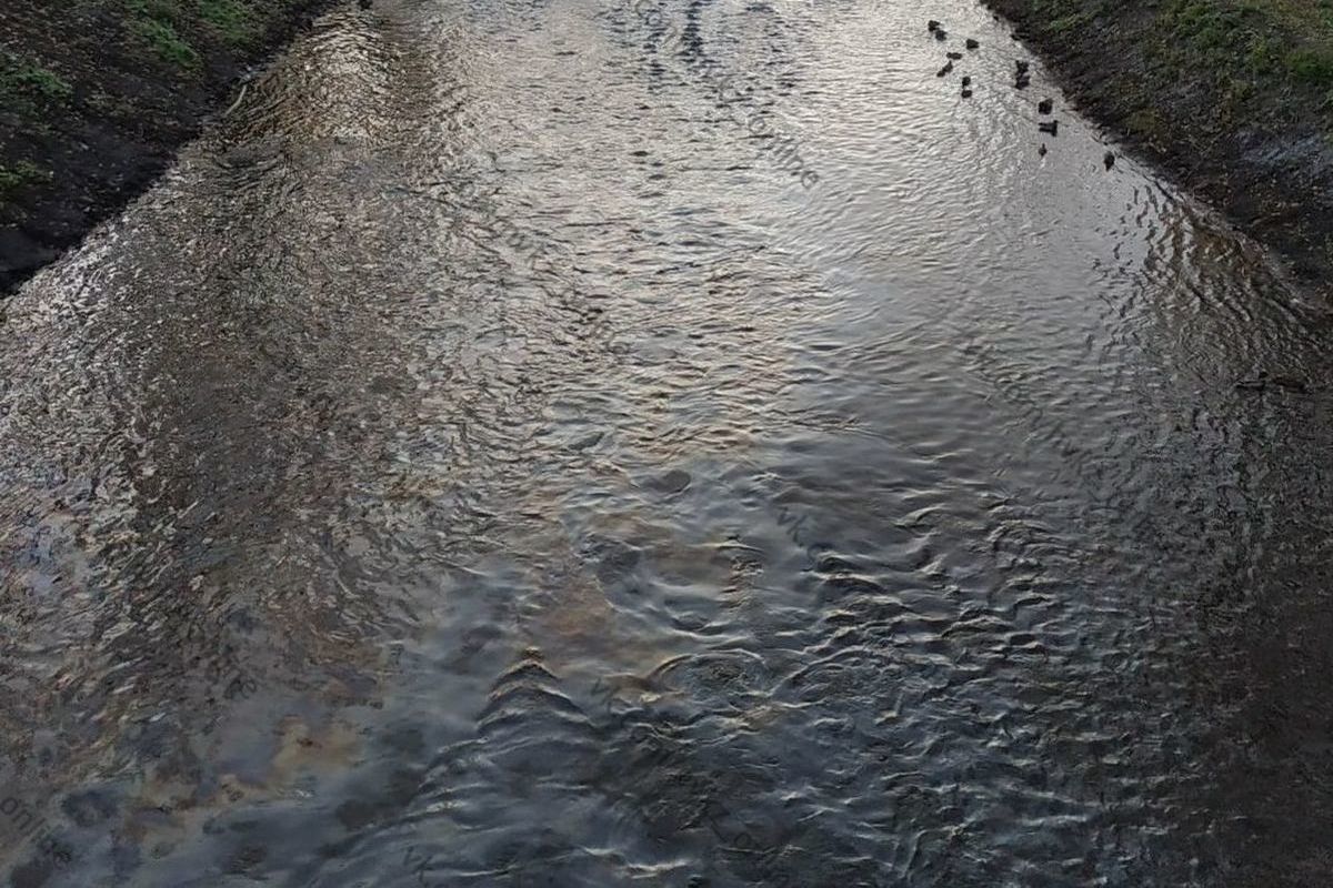 Уровень воды в реках новокузнецка