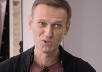 Разработчик "Новичка" оценил состояние Навального во время интервью Дудю