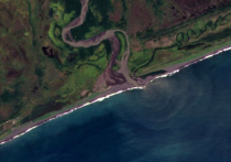 Огромное двухкилометровое пятно, которое связывают с загрязнением Халактырского пляжа, движется вдоль восточного побережья Камчатки