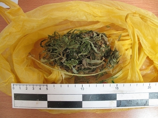 Госавтоинспекторы в Сафонове обнаружили 122 грамма «травки»