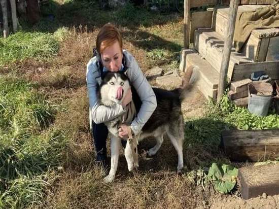 На Южном Урале полицейские нашли пропавшую собаку