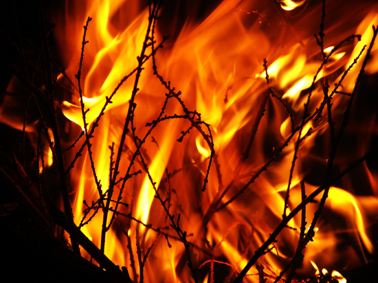 В Закаменском районе Бурятии потушили лесной пожар
