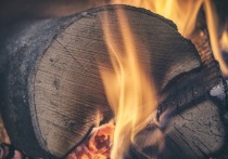 Проект закона о снижении норматива заготовки дров в Забайкалье не прошел первое чтение в Заксобрании края