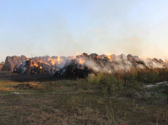 Шалость удалась: в Алтайском крае два ребенка сожгли у фермера сена на 1 млн рублей