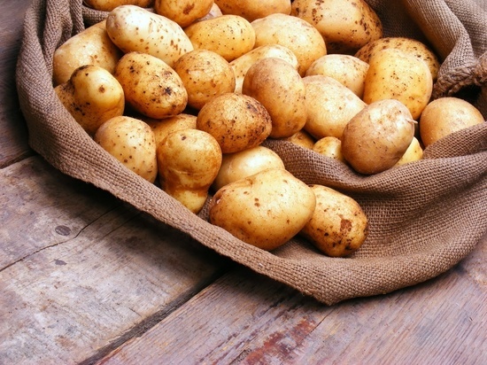 В колониях Бурятии собрали 360 тонн картофеля