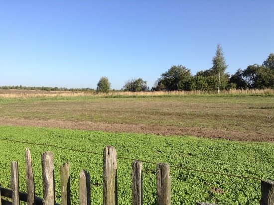 В смоленской деревне Покорное непокорный «мигрант» натворил дел