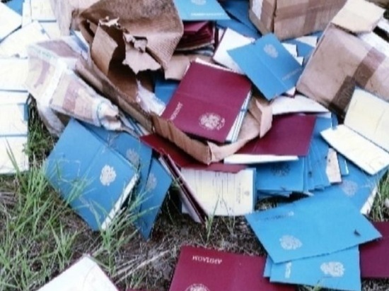 В Костроме на помойке нашли десятки бланков дипломов