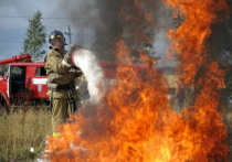 Ежегодно из-за поджога сухой травы в Кузбассе происходят серьезные пожары