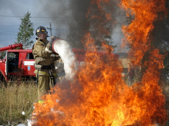 По инициативе Парламента Кузбасса в России могут десятикратно повыситься штрафы за лесные пожары