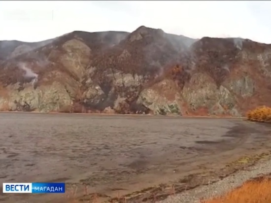 СМИ: на Колыме горит местность с редкими растениями