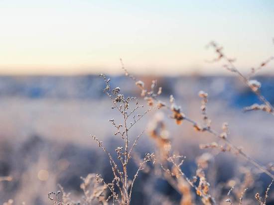 В Волгоградской области похолодает до 4 градусов мороза