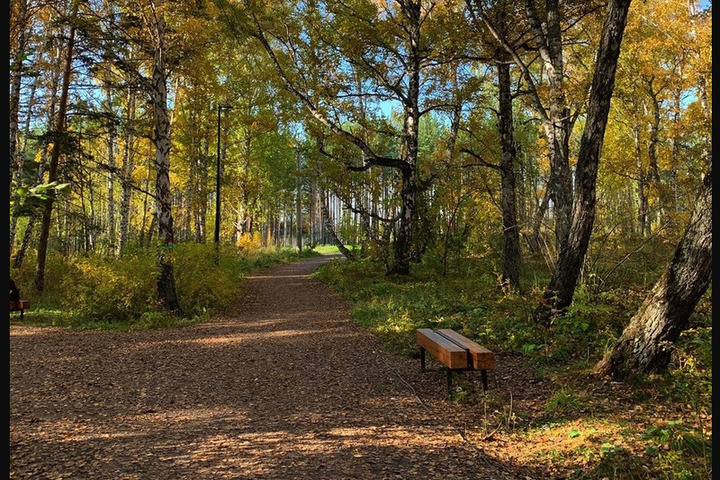 Гремячая Грива Красноярск Цена