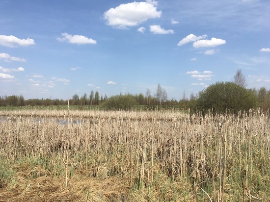 Прогноз погоды в Смоленске на 9 октября обещает облака и туман