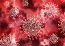 Новый коронавирус может непреднамеренно действовать как болеутоляющее, показало проведенное в США исследование