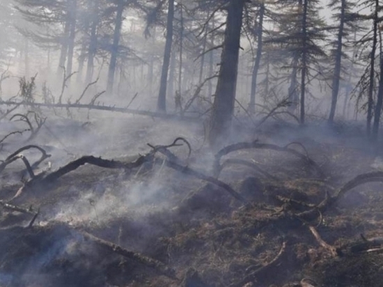 Лесной пожар в Магадане до сих пор не удалось ликвидировать полностью