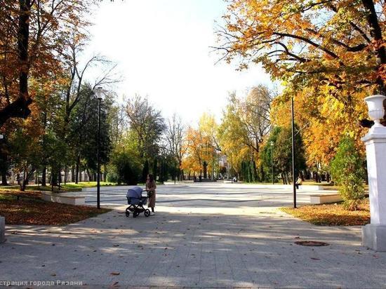 В Рязани «Наташкином парке» установят новую детскую площадку
