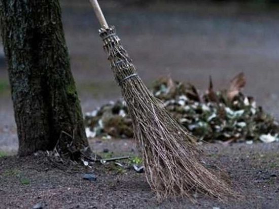 Дворника, убившего собаку, Черноземельский суд в Калмыкии приговорил к метле и лопате