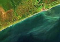 Спутниковые снимки помогли обнаружить судно, которое сбрасывало отходы в Авачинской бухте, сообщает пресс-служба правительства Камчатки