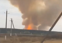 Российское военное ведомство окажет помощь населению военного городка и деревень, пострадавшим от пожара и взрывов на складе боеприпасов в Рязанской области