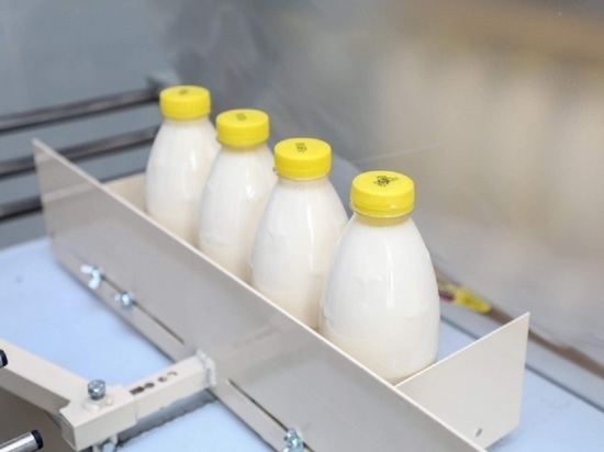 В 2019-м в Волгоградской области произвели 546 500 тонн молока