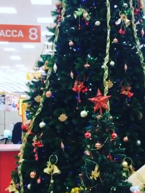 В торговых центрах Улан-Удэ стали появляться новогодние елки