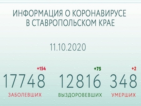 На Ставрополье за сутки делают 5-7 тысяч тестов на COVID-19