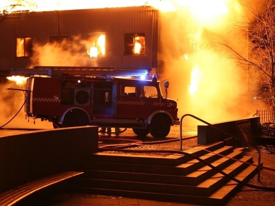 В ЛНР от пожаров за сутки пострадала территория площадью 100 га