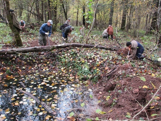 В лесу в Тверской области нашли воронку на месте крушения военного самолета