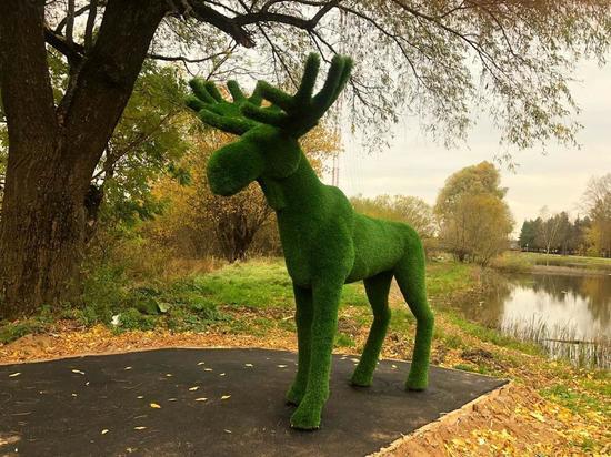 В одном из парков Тверской области появился зелёный лось