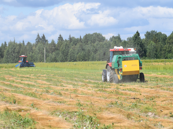 В Тверской области заканчивается уборка урожая
