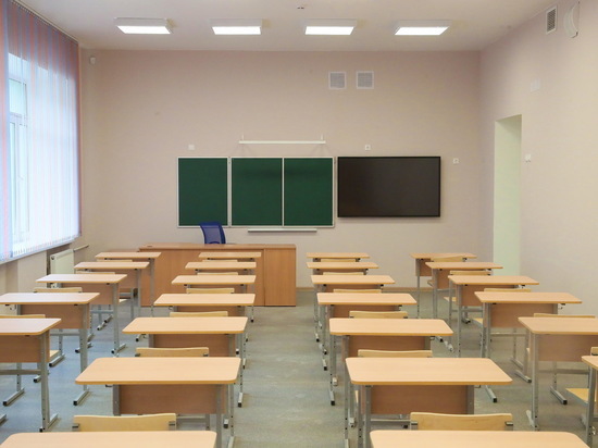 В Петербурге перевели на «дистанционку» уже почти 70 школьных классов