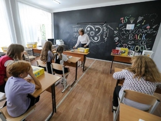 Эксперты: переводить школы на дистанционное обучение нет необходимости
