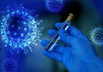 Суточный прирост заболеваемости коронавирусной инфекцией в Забайкалье составил 173 человека