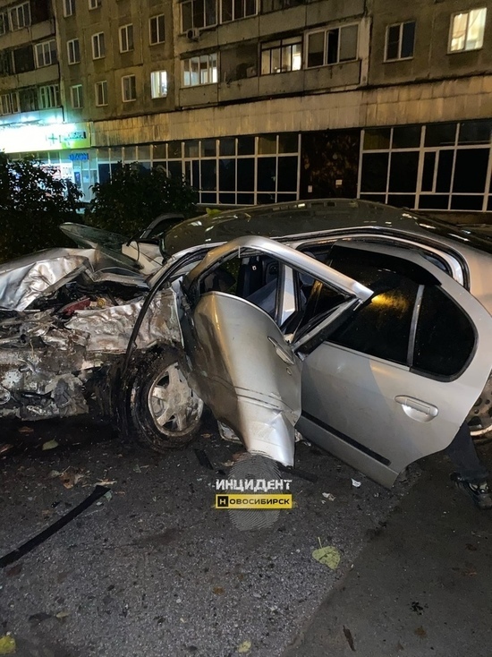 Ищут свидетелей: 20-летний новосибирец оказался в реанимации после ДТП с деревом