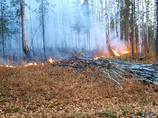 На Южном Урале вновь горят леса