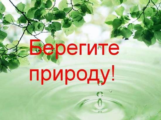 В Ярославском районе нашли загрязнителя поля у Медягино