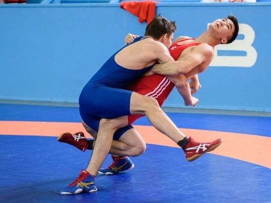 Владимирский спортсмен стал призером Кубка России по греко-римской борьбе