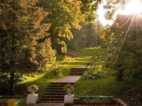 Ботанический сад в Кирове ушёл на зимние каникулы