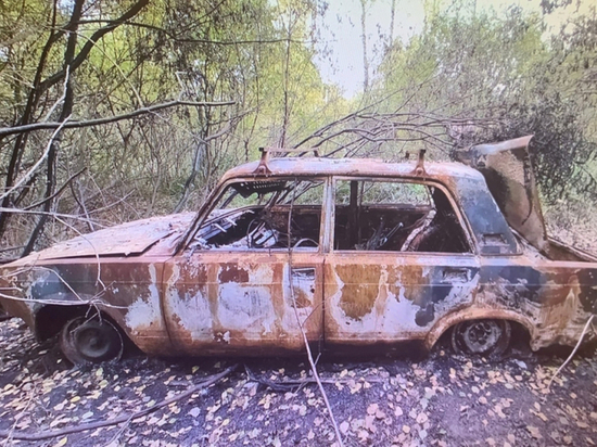 Житель Владимирской области украл и сжег автомобиль
