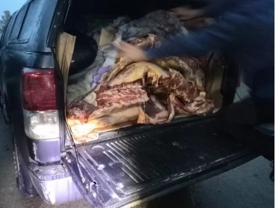 В Псковскую область пытались ввезти мясо без документов