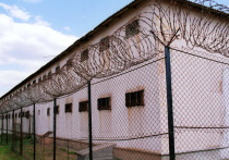 Ранее тюремное ведомство отслеживало только условно осужденных

