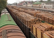 Недавно Владимир Путин в целях развития и декриминализации лесного комплекса поручил правительству РФ запретить вывоз из России необработанной или грубо обработанной древесины с 1 января 2022 года