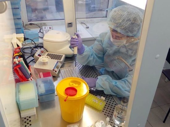 В Марий Эл растет суточный прирост новых случаев коронавируса