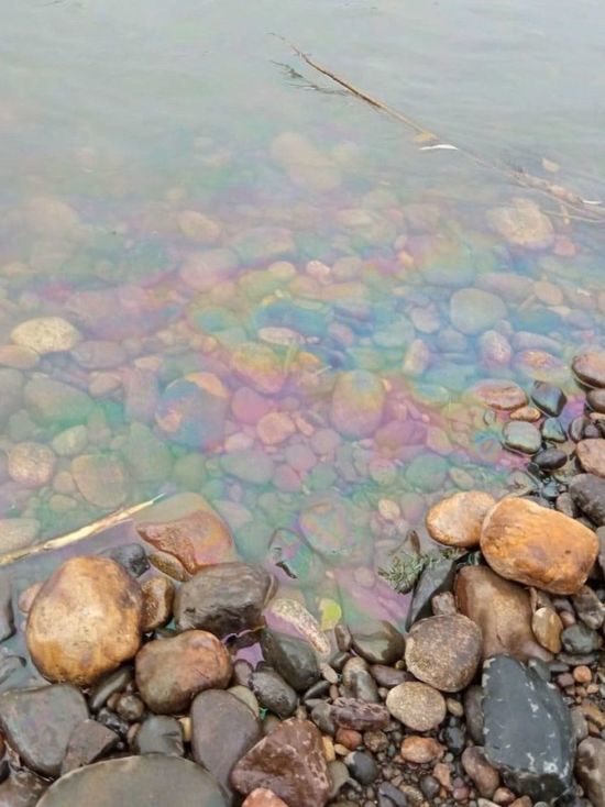 Новокузнечане обнаружили в реке следы топливного загрязнения